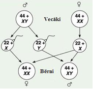 Vecaki-berni