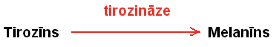 Tirozinaze